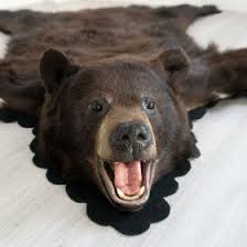 black bear skin rugs bear skin rug