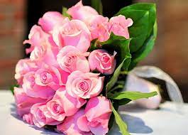 hd wallpaper pink rose flower bouquet