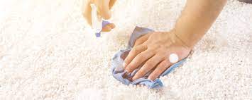 carpet dying services north myrtle