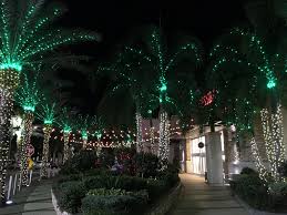 Sarasota Utc Mall Palm Tree Christmas Lights Brilliant
