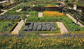 Kitchen Garden