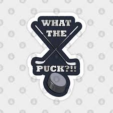hockey gifts for player fans funny