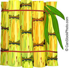 Find high quality sugar cane clipart, all png clipart images with transparent backgroud can be download for free! Sugarcane Clip Art And Stock Illustrations 4 305 Sugarcane Eps Illustrations And Vector Clip Art Graphics Available To Search From Thousands Of Royalty Free Stock Art Creators