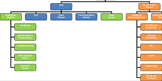 La Fagedas Organizational Chart Download Scientific Diagram