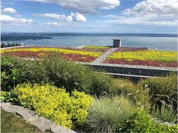 Green Roofs What Are The Benefits Of