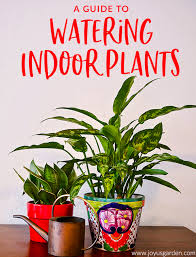 Watering Indoor Plants A Complete