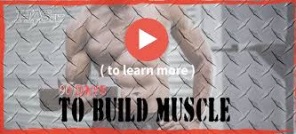 workout schedule to build muscle