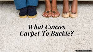 what causes carpet to buckle 7 reasons