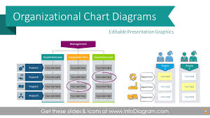 company organizational chart templates