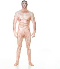 Amazon.com: Morphsuits Disfraz oficial de hombre desnudo de Hillbilly  Censurado, este atuendo es muy realista, Hillbilly : Ropa, Zapatos y Joyería