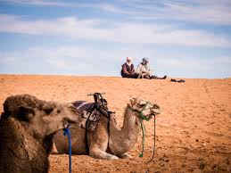 Something is the last thing experienced in a series of recurring offenses or problems that causes one. How To Plan A Desert Trip To Merzouga And Fun Things To Do In The Desert In Morocco