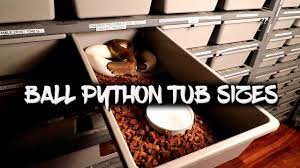 ball python tub sizes hatchling grow