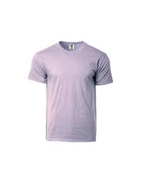 1717 Comfort Colors Adult T Shirt