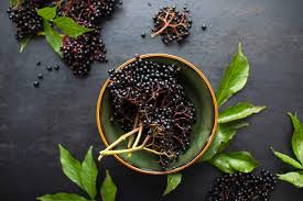 9 amazing elderberry health benefits