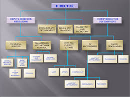 Radio Television Brunei Organisation Structure