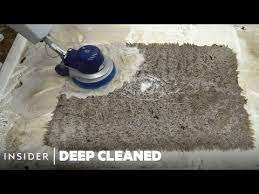 how a worm infested rug is deep cleaned