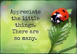 Ladybug Quotes Image Quotes At Hippoquotes Com