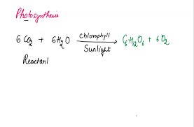 Solved What Is The Chemical Equation