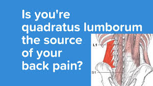 Luckily you've found this page to help you. Is Your Quadratus Lumborum The Source Of Your Back Pain Axis Brain Back Institute