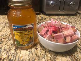 one gallon rhubarb mead recipe mr