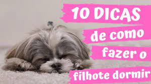 10 dicas de como fazer o filhote dormir