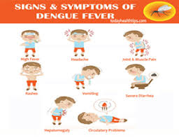 However, they usually end up with a milder form of the disease compared to adults. Dengue Symptoms In Children Causes Diagnosis Prevention