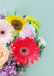 fresh flowers images free on