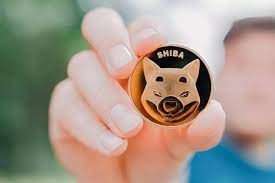 Shiba Inu price today: Meme crypto coin ...