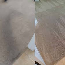 1 carpet cleaning in estero fl with