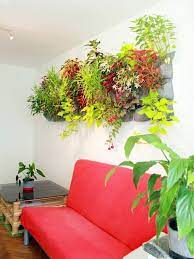 Living Wall Planter Vertical Garden