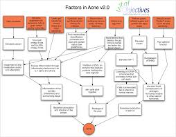 A U002b Ebooks Free Download Pdf Acne Causes Chart
