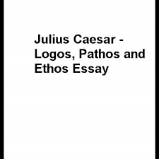  Helping words for essay
