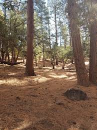 Maybe you would like to learn more about one of these? East Of Phoenix Arizona Great Spot For Someone On Their First Trip Saw Some Wildlife Enjoyed Walking Around The Surroundin Free Camping Go Camping Camping