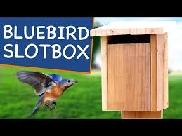 Bird House Plans For Bluebirds