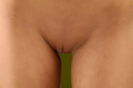 Schöne vulvas