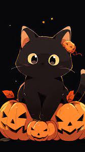 halloween black cat pumpkin jack o