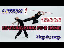 learning kung fu at home lesson 1