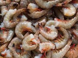 guide to ing better shrimp