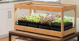 How To Grow An Indoor Herb Garden 2019