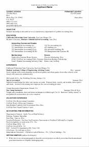 Accounting Resume Objective   Best Business Template