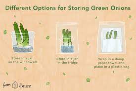 how to green onions to keep them