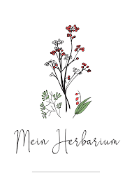 Mein digitales herbarium ist eine sammlung von wildkräutern und heilpflanzen. Deckblatt Herbarium 2 Deckblatt Gestalten Herbarium Vorlage Deckblatt