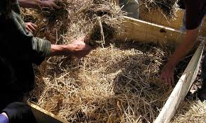 straw mulch protecting your veggies