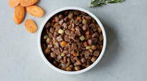 a guide to changing dog food how to