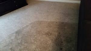 carpet cleaners in rochester ny