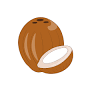 how to draw a coconut from www.drawingwars.com