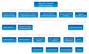 Organizational Structure Department Of Vocational