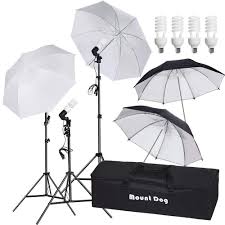 Mountdog Mg4l099 91580e 800w Photography Umbrella Continuous Lighting Kit Photo Portrait Studio Day Light Umbrella Reflector Lights For Camera Shooting