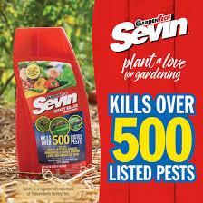 sevin insect concentrate