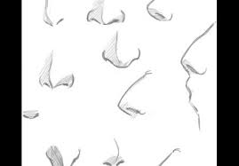 Draw the sides of the head. How To Draw Nose Step By Step Trending Difficulty Any Dragoart Com